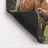 Lange Horn-Kuh-Mausunterlage Mousepad (Ecke)