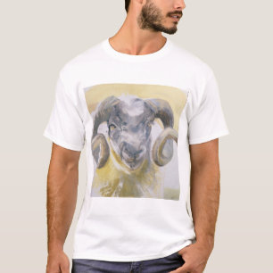 Lange Horn-Schafe 2 T-Shirt