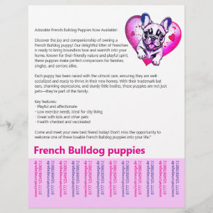 Lange Lesebroschüre für Französische Bulldoggen-We Flyer
