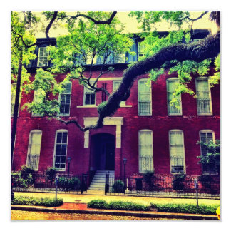 Lange Limbe in Savannah Fotodruck