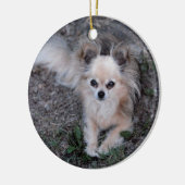 Lange Mantel-Chihuahua Keramikornament (Links)