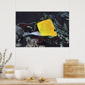 Lange Nase Butterflyfish Poster (Küche)