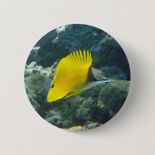 Lange Nasen-Schmetterlings-Fische Button (Vorderseite)
