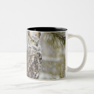 Lange ohrige Eule Zweifarbige Tasse