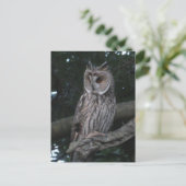 Lange Owl Nah DIY Postkarte (Stehend Vorderseite)