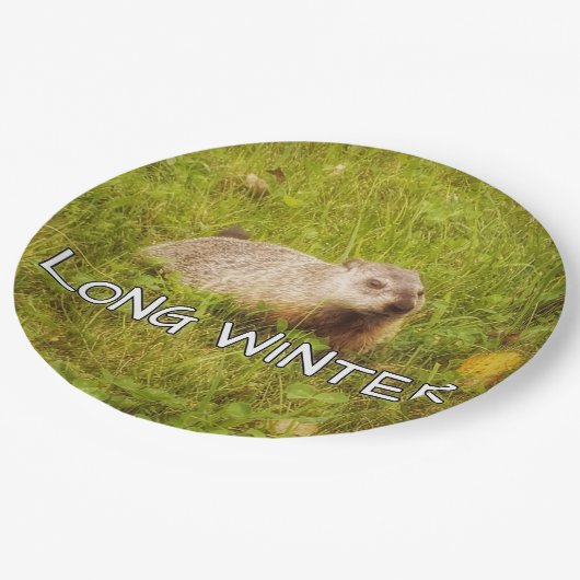 Lange Teller (Schrägansicht)