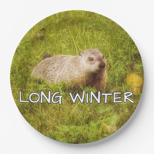 Lange Teller (Vorderseite)