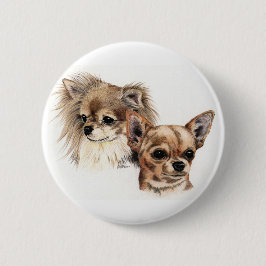 Lange und glatte Mantel-Chihuahua Button