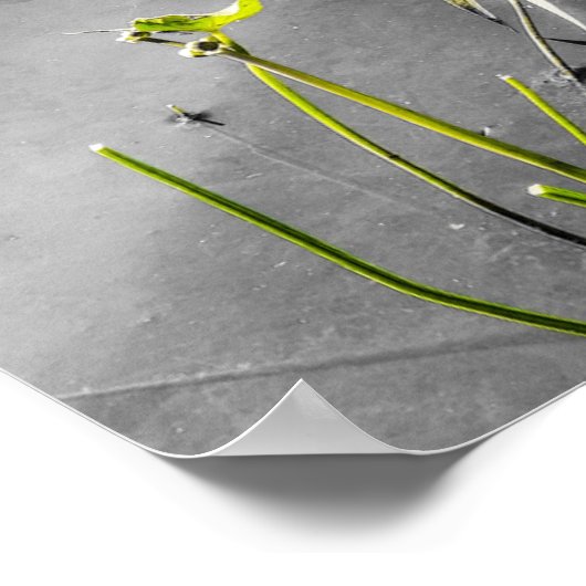 Lange vergessene Kinderposter Print Poster (Ecke)