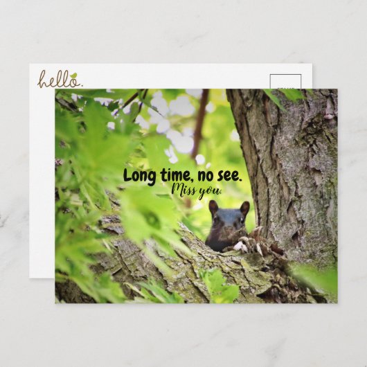 Lange Zeit, keine Postkarte sehen (Vorne/Hinten)