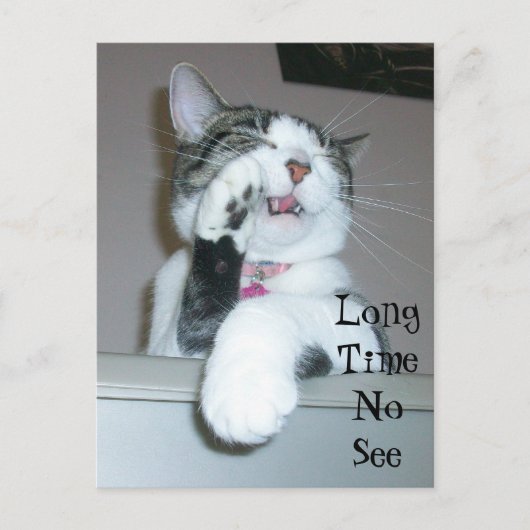 Lange Zeit nicht sehen Postkarte (Vorderseite)