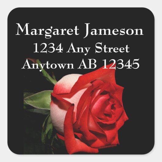 Langer aufgehaltener quadratischer aufkleber (Vorderseite)