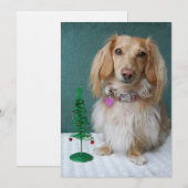 Längere Dackel auf einem Korbtisch Einladung (Vorne/Hinten)