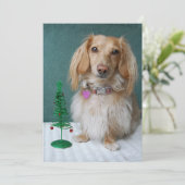 Längere Dackel auf einem Korbtisch Einladung (Stehend Vorderseite)