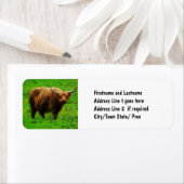 Langes Langhorn mit langen Hörnern (Insitu)