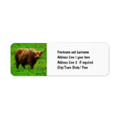 Langes Langhorn mit langen Hörnern (Vorne)