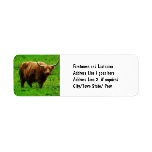 Langes Langhorn mit langen Hörnern (Vorne)