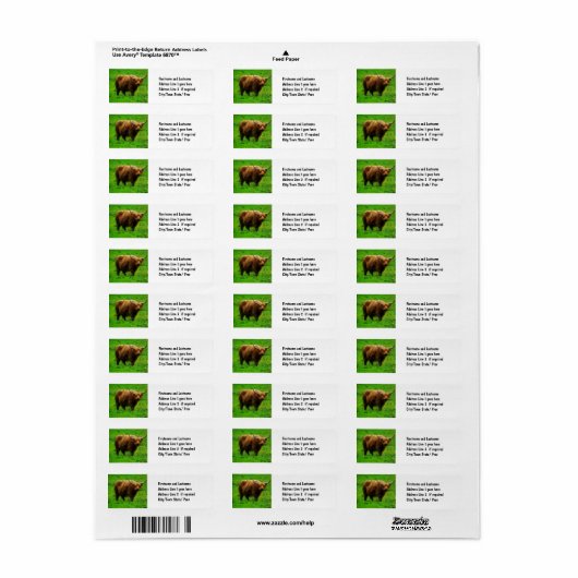 Langes Langhorn mit langen Hörnern (Vorne)