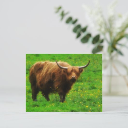 Langes Langhorn mit langen Hörnern Postkarte (Stehend Vorderseite)