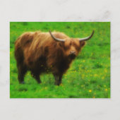 Langes Langhorn mit langen Hörnern Postkarte (Vorderseite)
