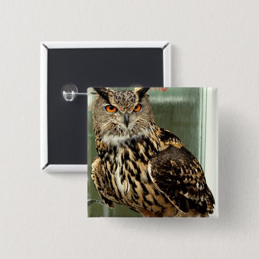 Langes ohriges Eulen-Button Button (Vorne & Hinten)