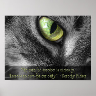 Langeweile - Neugier, Dorothy Parker Zitat-Poster Poster