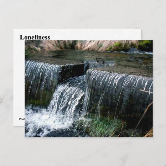 LANGFRISTIG POSTKARTE (Vorne/Hinten)