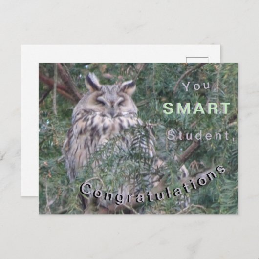 Langfristige Eule Herzlichen Glückwunsch Postkarte (Vorne/Hinten)