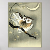 Langgezogene Eule auf einer Baumzweigung Poster (Vorne)