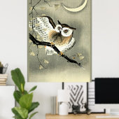 Langgezogene Eule auf einer Baumzweigung Poster (Heimbüro)