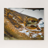 Langgezogenes Eulenvogel - Raubvögel. Puzzle (Horizontal)