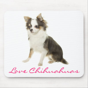 Langhaar Chihuahua-Welpen Computer-Mauspad Mousepad