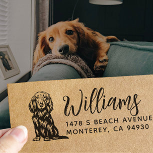 Langhaar-Dachshund-Besitzer Rücksendeadresse Hund Gummistempel