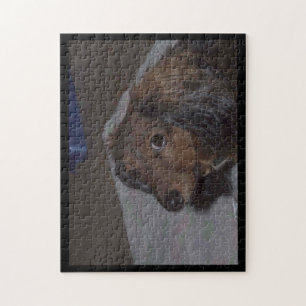 Langhaar-Dachshund-Jigsaw-Puzzle Puzzle