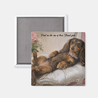 Langhaar-Dachshund Magnet