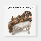Langhaar-Dachshund Magnet (Vorne)