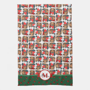 Langhaar-Dachshund-Muster-Monogramm-Weihnachtshund Geschirrtuch