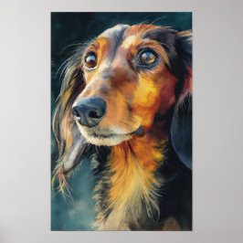 Langhaar-Dachshund Nahaufnahme Poster