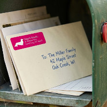 Langhaar-Dackel | Rosa Rücksendeadresse