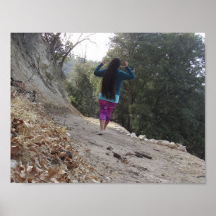 Langhaar im Wald Poster