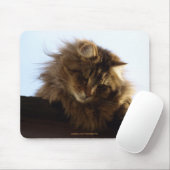 Langhaar Tabby Cat Mousepad (Mit Mouse)