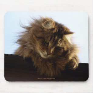 Langhaar Tabby Cat Mousepad