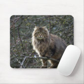Langhaar Tabby Cat Mousepad (Mit Mouse)