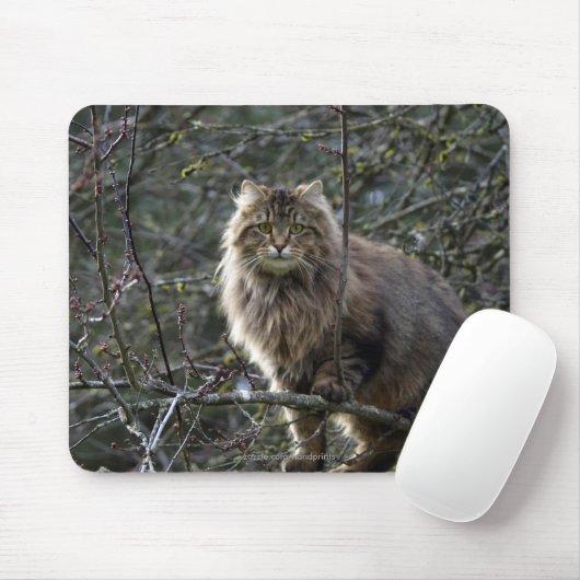 Langhaar Tabby Cat Mousepad (Mit Mouse)