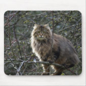 Langhaar Tabby Cat Mousepad (Vorne)