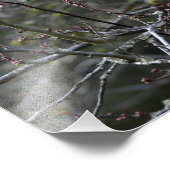 Langhaar Tablette Katze Tierfütterung Foto drucken (Ecke)