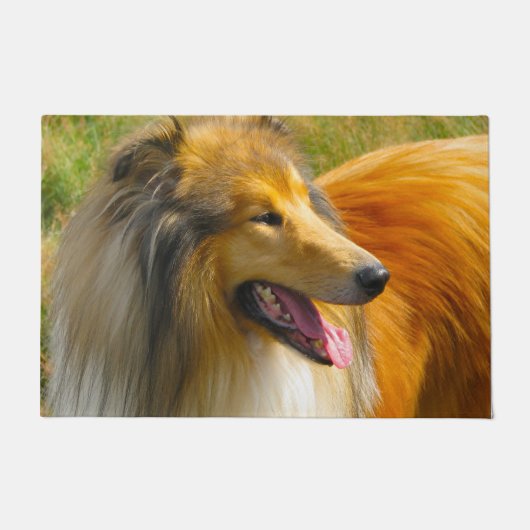 Langhaarcollie. Fußmatte (Vorderseite)