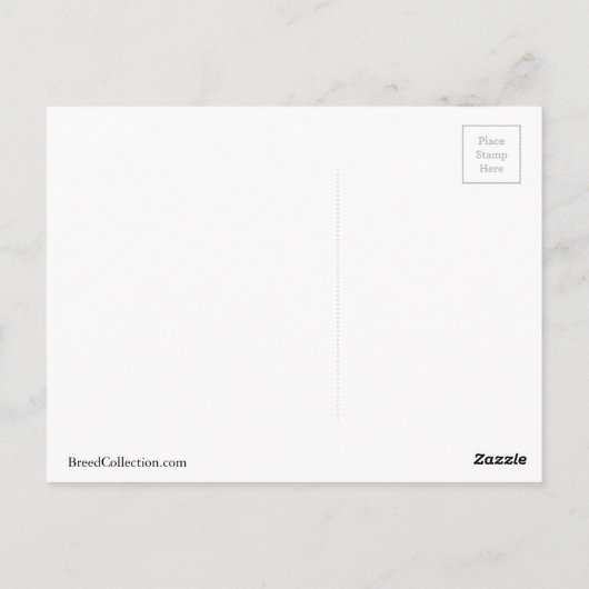 Langhaarige Chihuahua Danke, Design Postkarte (Rückseite)