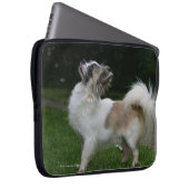 Langhaarige Chihuahua, die Kamera betrachten Laptopschutzhülle (Vorne Rechts)