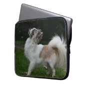 Langhaarige Chihuahua, die Kamera betrachten Laptopschutzhülle (Vorderseite Links)